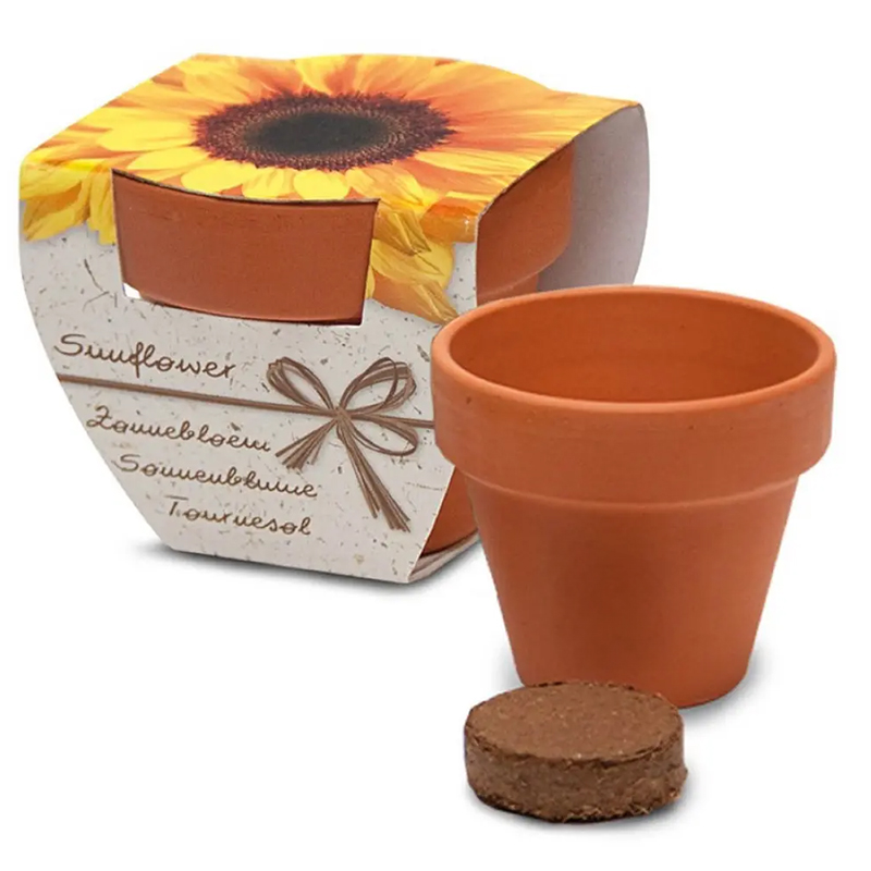 Terracotta potje in doosje - Afbeelding 6